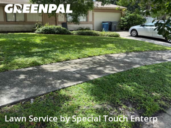Lawn Maintenancein Oldsmar,34677,Lawn Mow by Special Touch Enterp, work completed in Nov , 2025