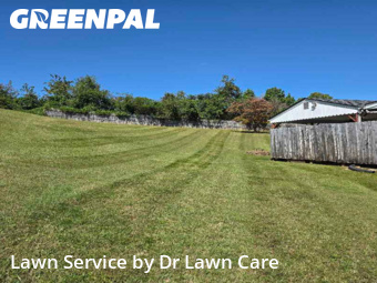 Yard Cutting nearby Roanoke, VA, 