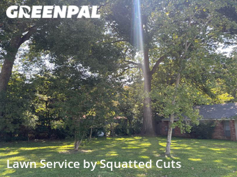 Lawn Care Service nearby Lafayette, LA, 