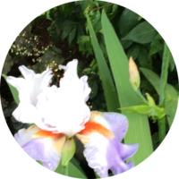 local-lawn-maintenance-contractors-in-Huntington-WV