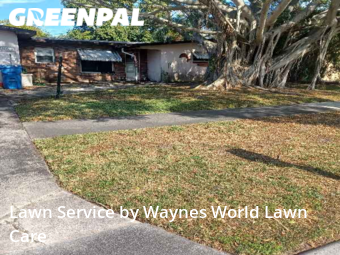 Grass Cut nearby Seminole, FL, 