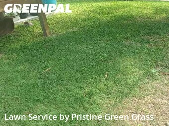 Yard Mowing nearby Hitchcock, TX, 