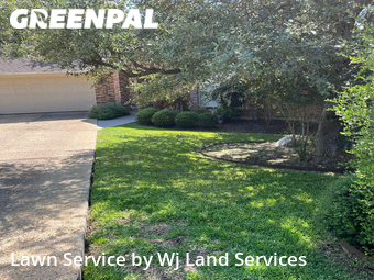 Grass Cut nearby New Braunfels, TX, 