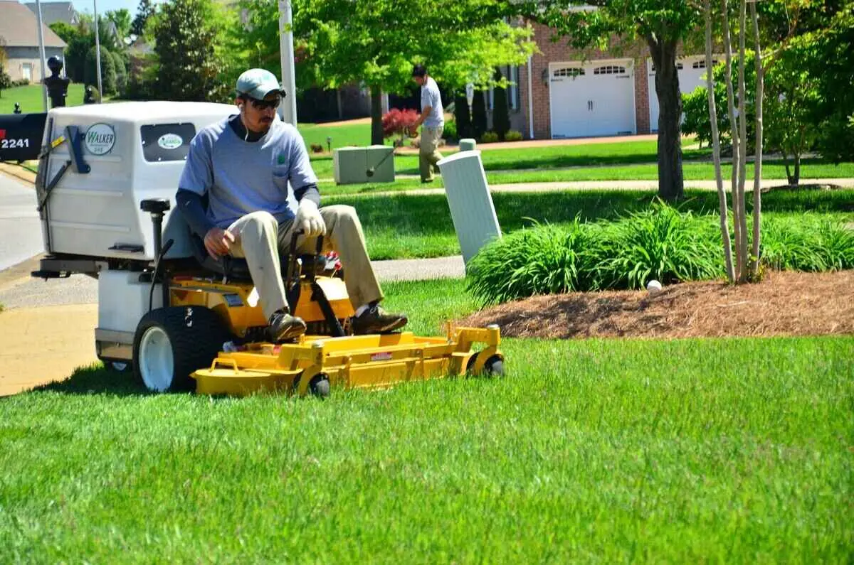 How Do You Find the Best Lawn Care Professional for You?