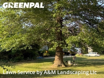 Yard Cutting nearby Ellicott City, MD, 