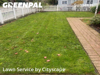 Yard Mowing nearby Seattle, WA, 