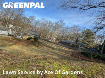 Lawn Cutin Roswell,30076,Lawn Mow by Ace Of Gardens, work completed in Jan , 2026