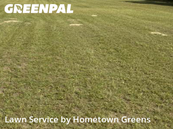 Grass Care in Bartow, 33830, Lawn Management by Hometown Greens , work completed in Nov , 2025
