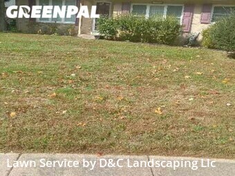 Lawn Cut nearby Fairfax, VA, 