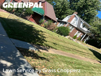 Lawn Cut nearby Ferguson, MO, 