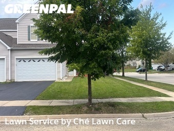 Lawn Care nearby Joliet, IL, 