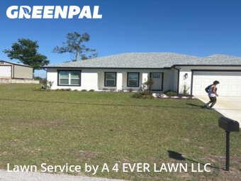 Lawn Care nearby Spring Hill, FL, 