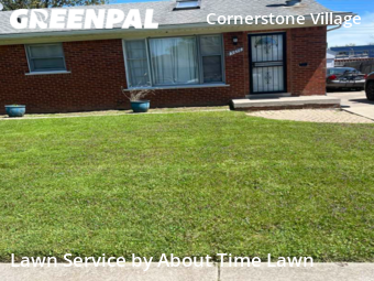 Grass Cutting nearby Detroit, MI, 