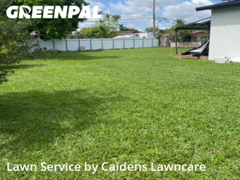 Lawn Upkeep in Golden Glades, 33168, Yard Care Services by Caidens Lawncare , work completed in Nov , 2025