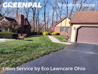 Backyard Mowing in Columbus, 43230, Lawn Maintenance by Eco Lawncare Ohio, work completed in Nov , 2025