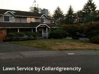 Lawn Mow nearby Redmond, WA, 