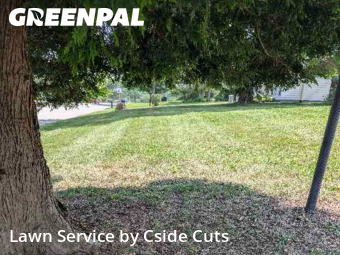 Lawn Upkeep in Glenshaw, 15101, Yard Management by Cside Cuts, work completed in Oct , 2025