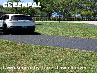 Grass Cutting nearby Palmetto Bay, FL, 