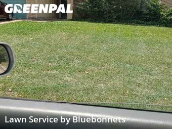 Lawn Service nearby Round Rock, TX, 