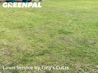 Lawn Service nearby Valdosta, GA, 