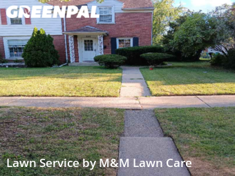 Grass Cut nearby Munster, IL, 