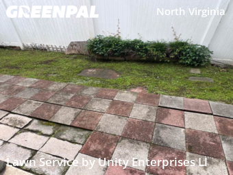 Yard Cutting nearby Virginia Beach, VA, 