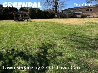 Yard Cutting nearby Philadelphia, PA, 