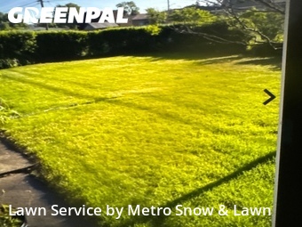 Grass Cutting nearby Warren, MI, 