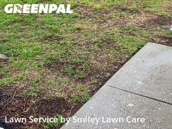 Yard Mowing nearby Hopkins, SC, 