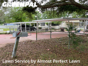 Lawn Cut nearby Silver Springs, FL, 