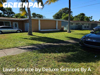 Lawn Maintenancein Sunrise,33313,Lawn Cut by Deluxe Services By A, work completed in Dec , 2025