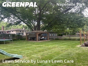 Yard Cutting nearby Naperville, IL, 