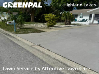 Yard Mowing nearby Palm Harbor, FL, 