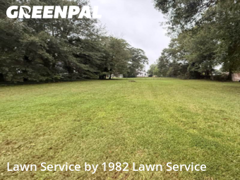 Lawn Cut nearby Shelby, NC, 