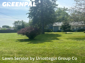 Yard Cutting in Wadsworth, 60083, Yard Care by Uriostegui Group Co, work completed in Dec , 2025