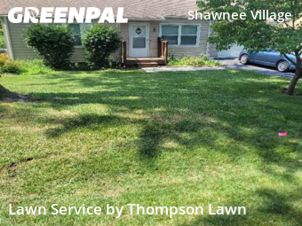 Lawn Cutin Shawnee,66203,Lawn Cut by Thompson Lawn, work completed in Nov , 2025