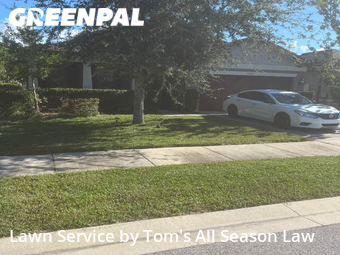 Lawn Cut nearby Brooksville, FL, 