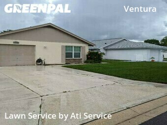 Grass Cut nearby Orlando, FL, 