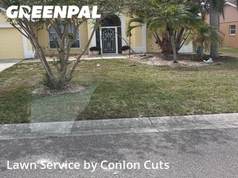 Lawn Cutting nearby Bradenton, FL, 