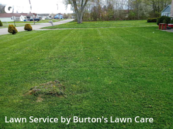 Lawn Service nearby Boardman, OH, 