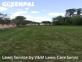 Yard Mowing nearby Kissimmee, FL, 