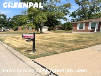 Lawn Cut nearby St. Louis, MO, 
