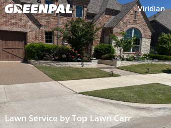 Grass Cut nearby Arlington, TX, 