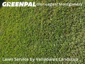 Lawn Mowing Servicein Conroe,77385,Lawn Mowing Service by Valladares Landscap, work completed in Jan , 2026