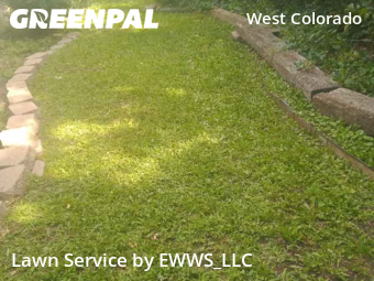 Grass Cutting nearby Manitou Springs, CO, 