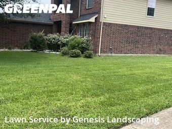 Lawn Cut nearby Spring, TX, 