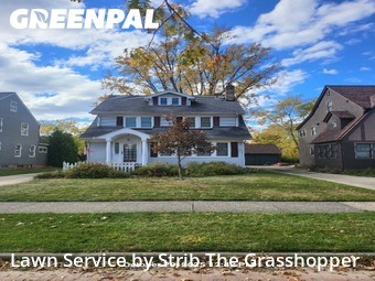 Yard Management in Euclid, 44123, Lawn Services by Strib The Grasshopper, work completed in Nov , 2025