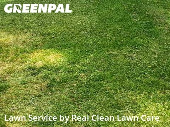 Lawn Mowing Service nearby Charlotte, NC, 