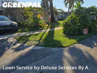 Grass Cutin Sunrise,33322,Lawn Cut by Deluxe Services By A, work completed in Feb , 2026