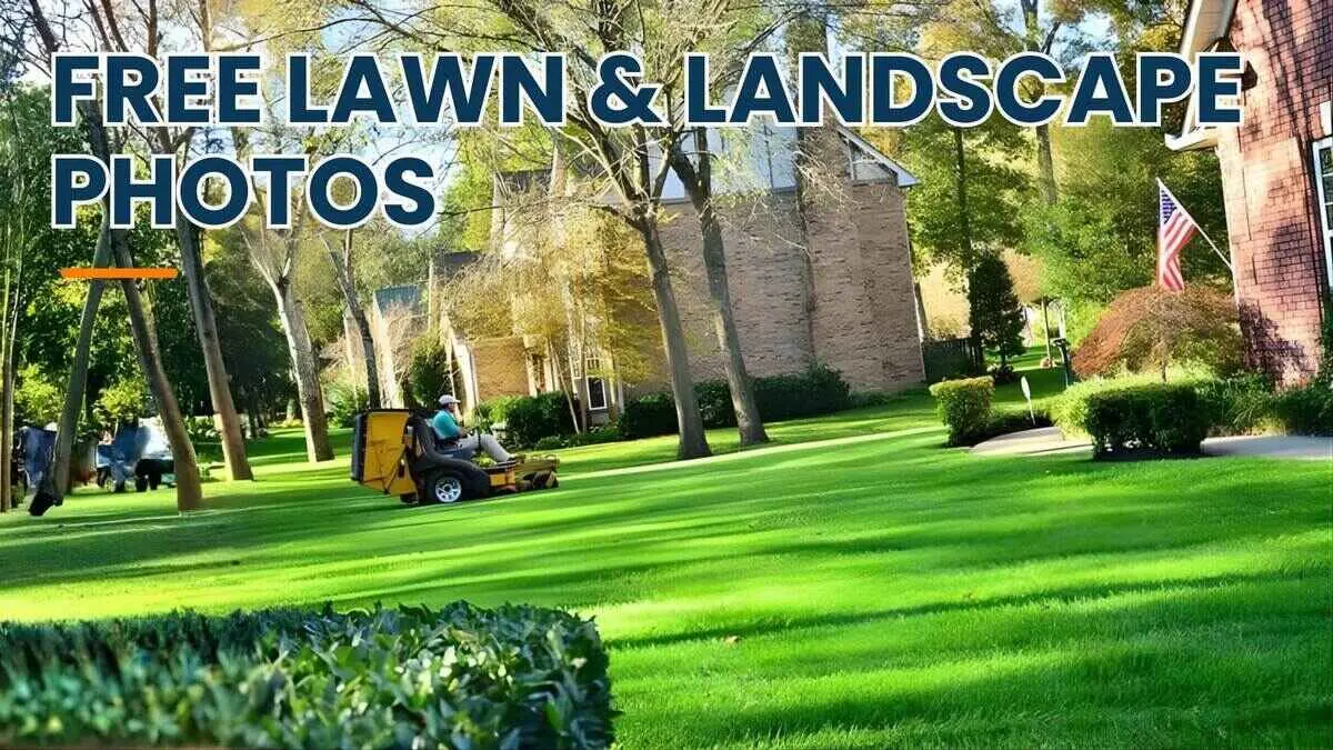 Free Professional Lawn and Landscaping Photography 